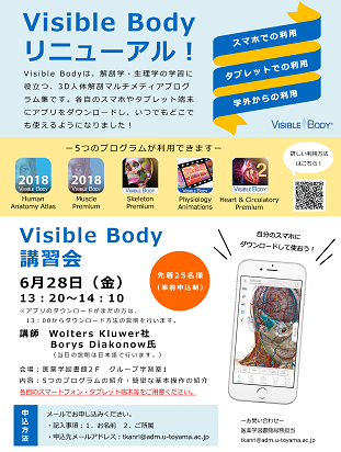 visible_body2019ポスター